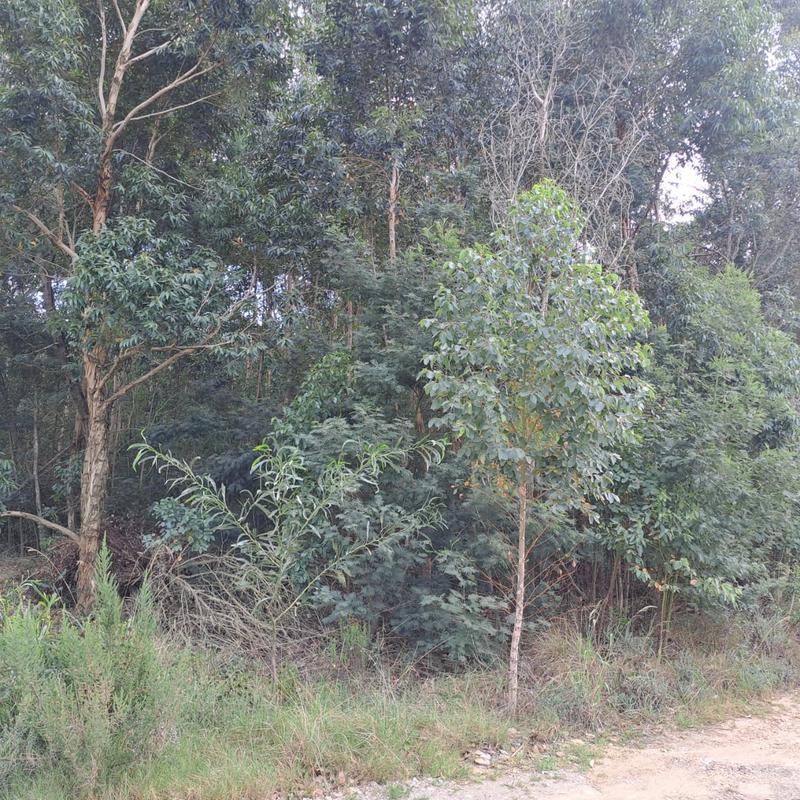 0 Bedroom Property for Sale in Van Stadens Eastern Cape